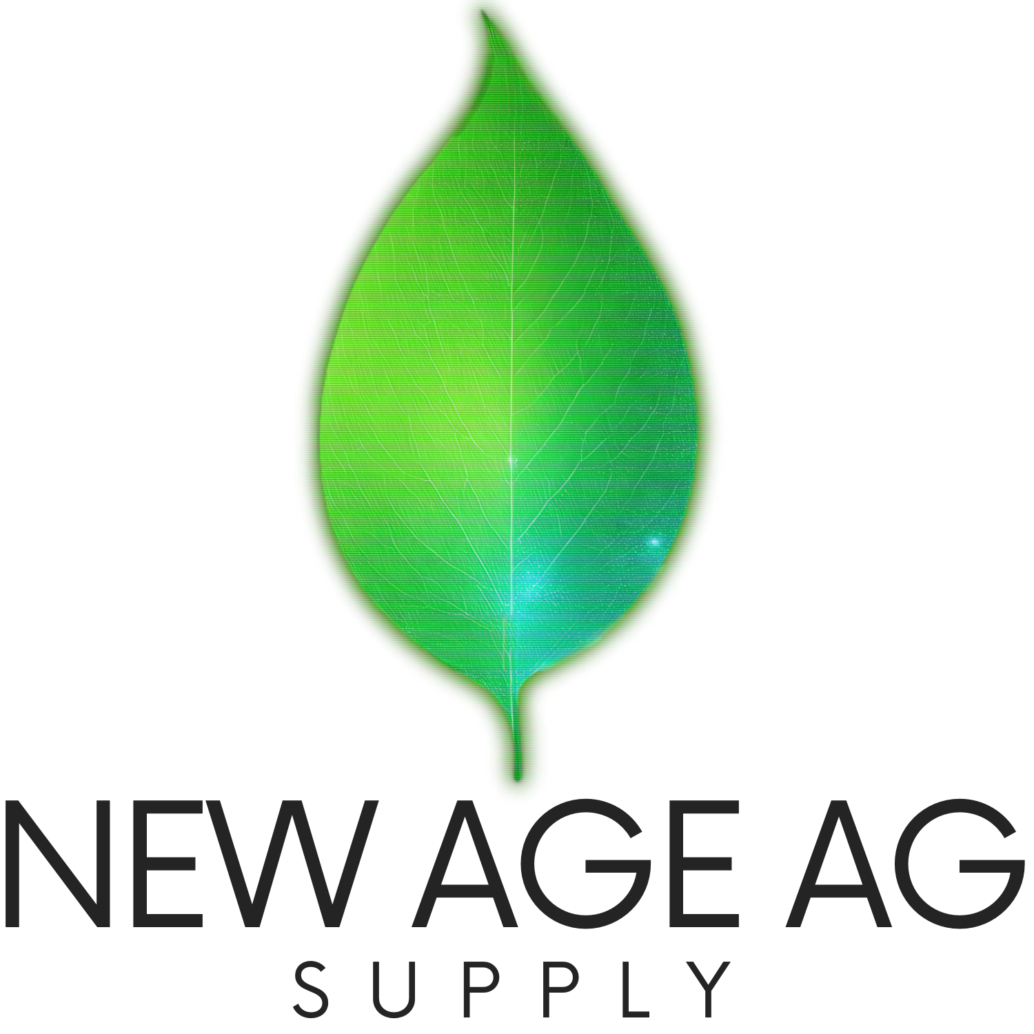 NEW AGE AG SUPPLY